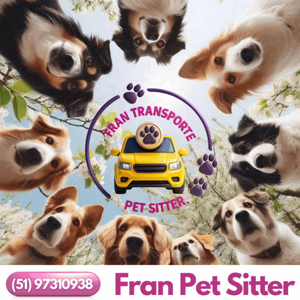 Serviço de Transporte Pet da Fran Pet - Transporte seguro e confortável para seu pet